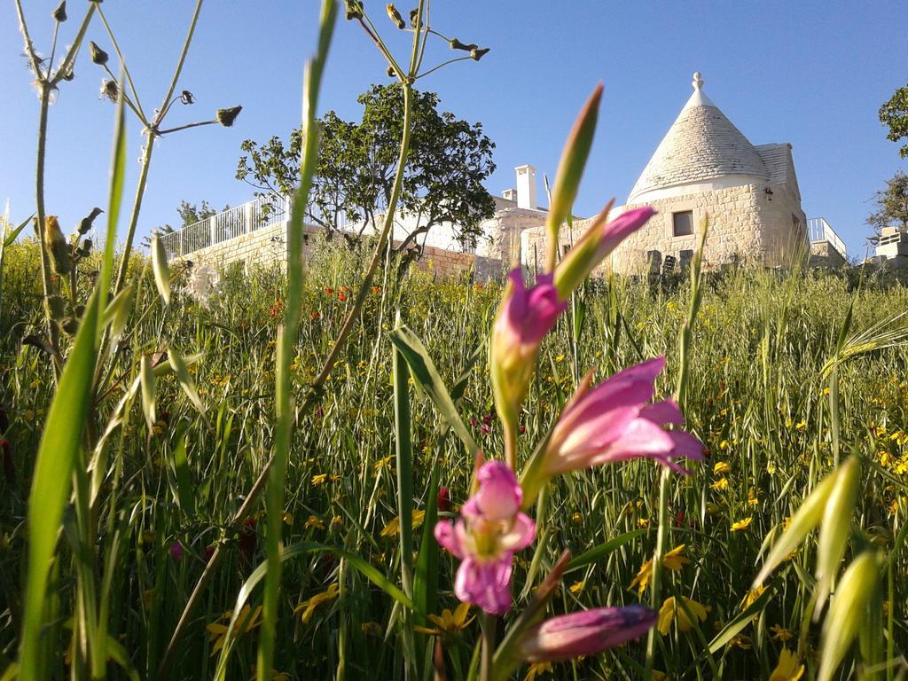 Cappelluzzo Villa Cisternino Exterior photo